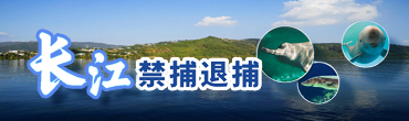 陕西省长江流域重点水域禁捕退捕