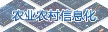 农业农村信息化