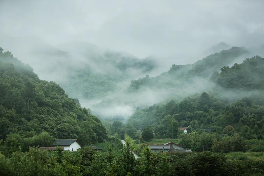 绿水青山背后的生态解码